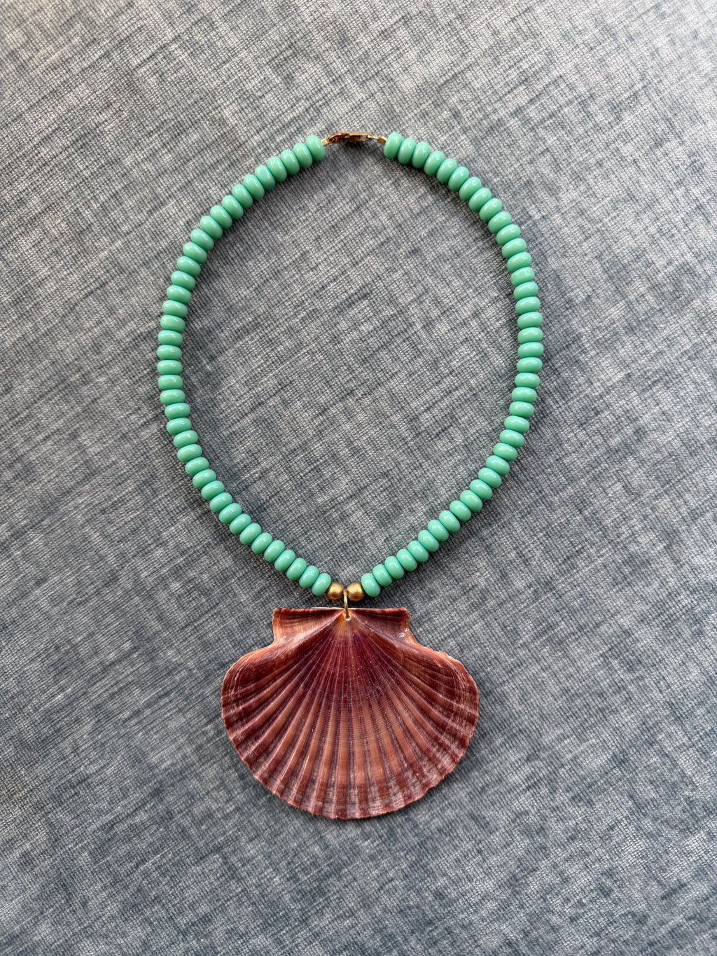 Turquoise Flat Scallop