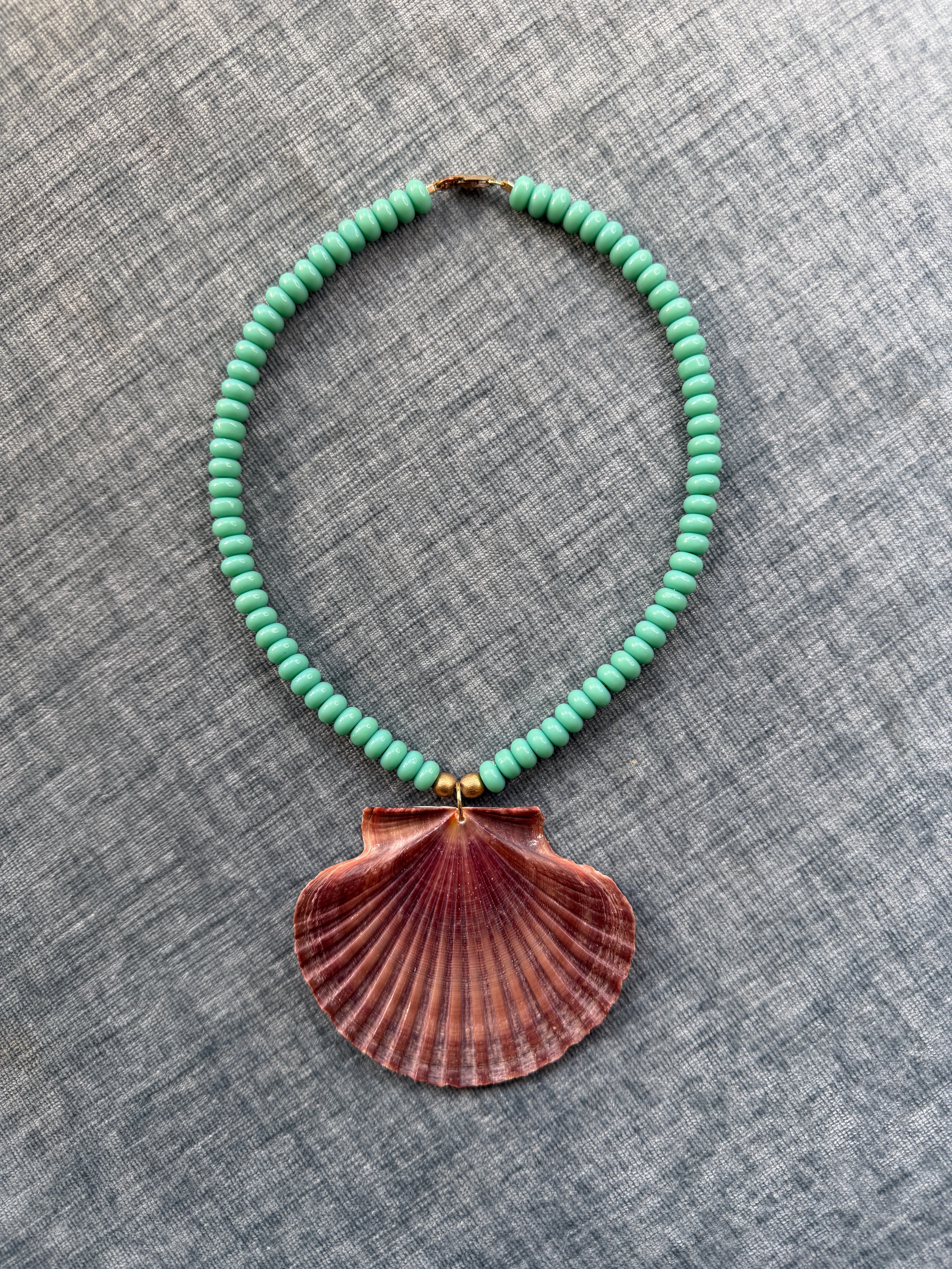 Turquoise Flat Scallop