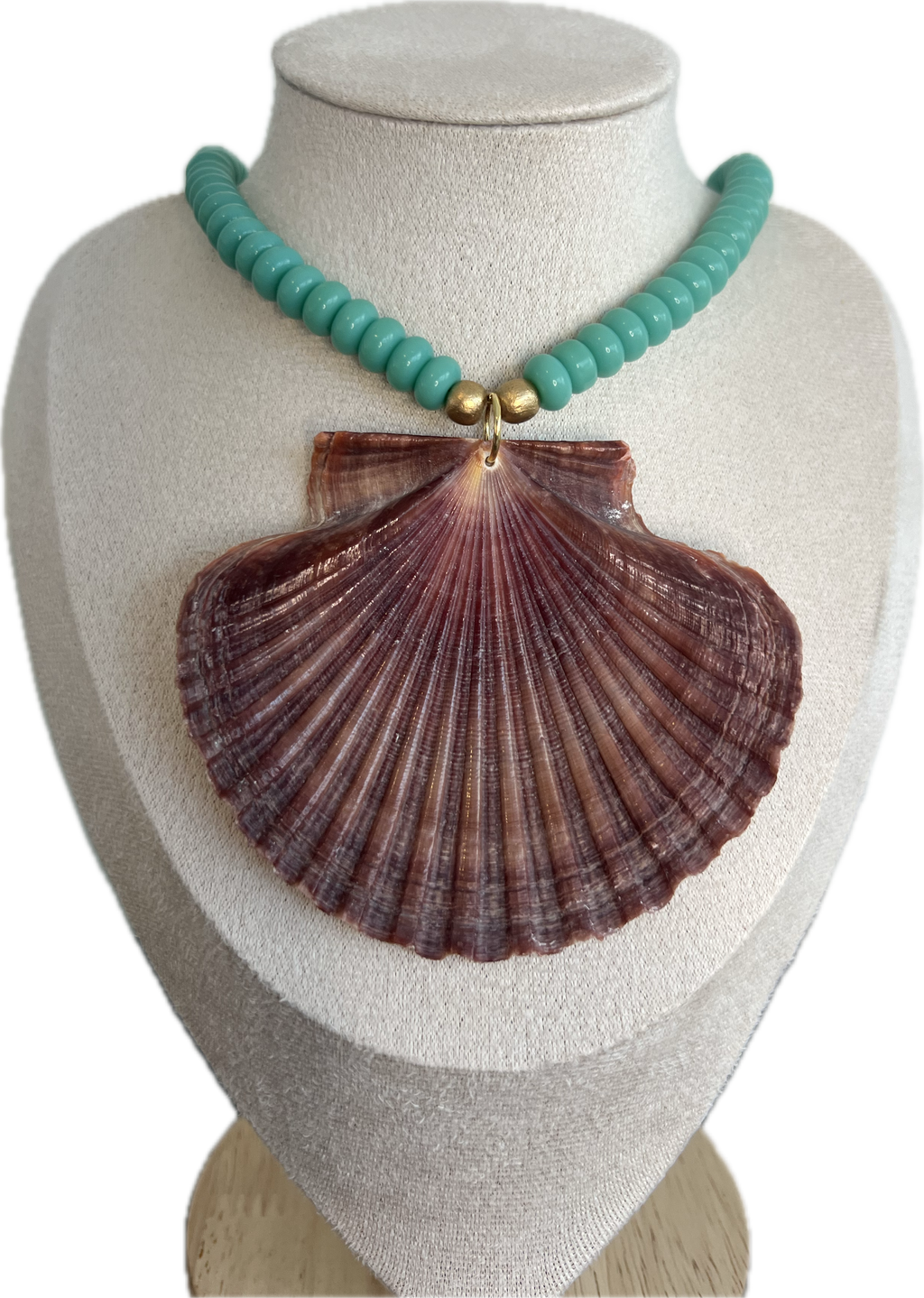 Turquoise Flat Scallop