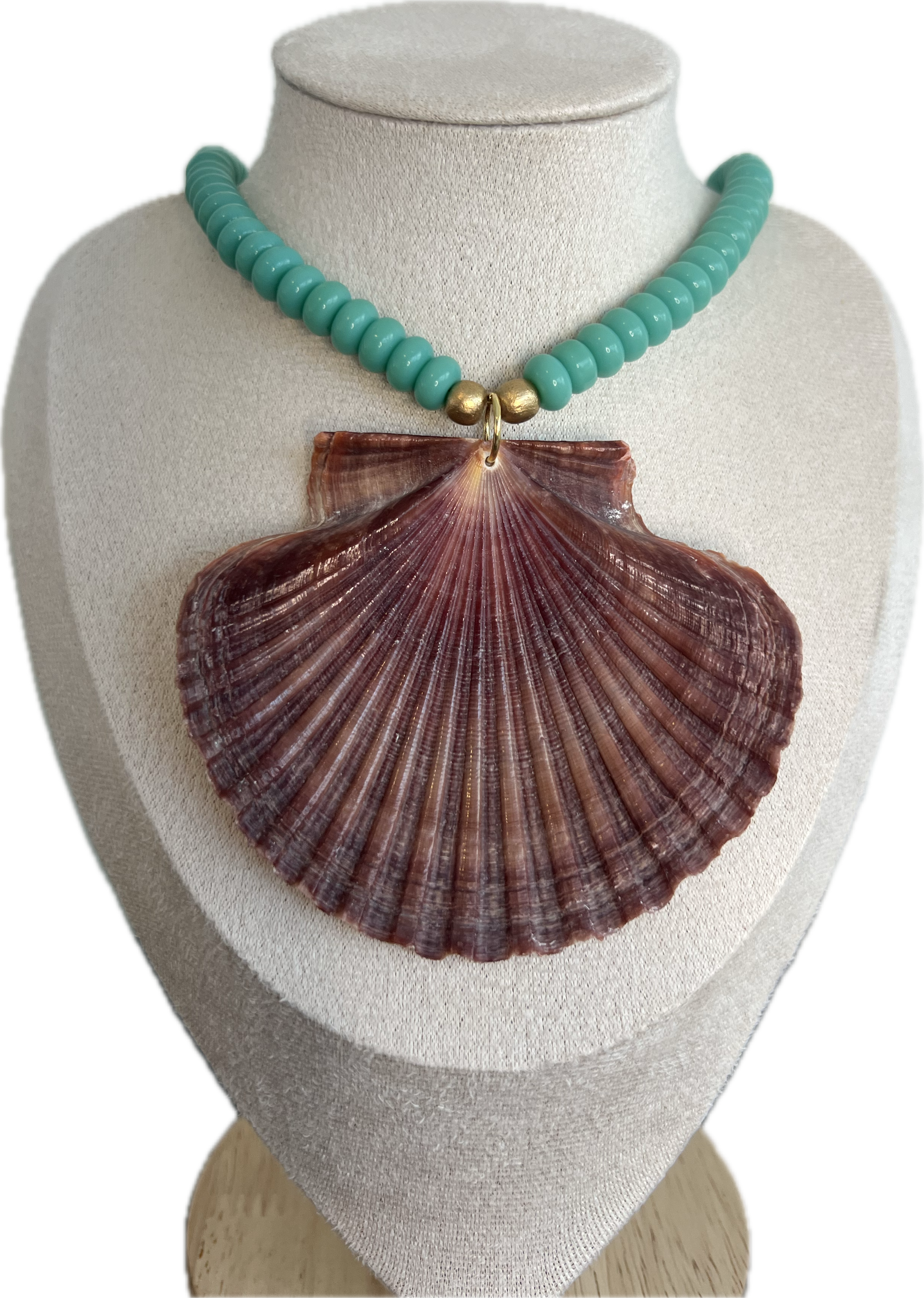 Turquoise Flat Scallop